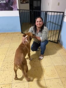 Resguardan a perro víctima de maltrato en Álamos