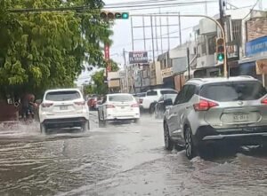 En Alerta Azul el Sur por ‘Polo’